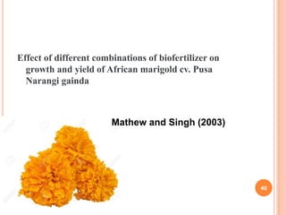 Effect of different combinations of biofertilizer on
growth and yield of African marigold cv. Pusa
Narangi gainda
Mathew and Singh (2003)
40
 