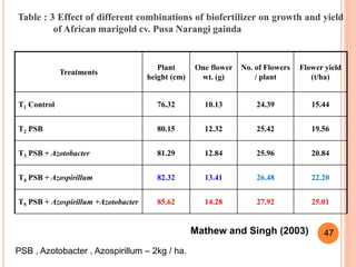 41
Treatments
Plant
height (cm)
One flower
wt. (g)
No. of Flowers
/ plant
Flower yield
(t/ha)
T1 Control 76.32 10.13 24.39 15.44
T2 PSB 80.15 12.32 25.42 19.56
T3 PSB + Azotobacter 81.29 12.84 25.96 20.84
T4 PSB + Azospirillum 82.32 13.41 26.48 22.20
T5 PSB + Azospirillum +Azotobacter 85.62 14.28 27.92 25.01
Mathew and Singh (2003)
Table : 3 Effect of different combinations of biofertilizer on growth and yield
of African marigold cv. Pusa Narangi gainda
47
PSB , Azotobacter , Azospirillum – 2kg / ha.
 