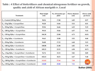 43
Treatments
Plant height
(cm)
No. of branches per
plant
Flower diameter
(cm)
Flower yield
per ha (t)
T1 : Control (150 kg N/ha.) 98.56 17.00 6.09 8.97
T2 : 0 kg N/ha. + Azospirillum 94.20 14.66 5.32 8.51
T3 : 50 kg N/ha. + Azospirillum 95.96 16.66 6.25 9.19
T4 : 100 kg N/ha. + Azospirillum 99.10 19.66 6.57 9.43
T5 : 150 kg N/ha. + Azospirillum 104.30 23.00 6.73 10.51
T6 : 0 kg N/ha. + Azotobacter 94.63 15.00 5.52 8.60
T7 : 50 kg N/ha. + Azotobacter 96.00 17.33 6.40 9.23
T8 : 100 kg N/ha + Azotobacter 100.80 21.00 6.82 9.79
T9 : 150 kg N/ha. + Azotobacter 105.23 23.33 6.90 10.71
T10 : 0 kg N/ha. + Azospirillum + Azotobacter 94.76 15.33 5.82 8.85
T11 : 50 kg N/ha. + Azospirillum + Azotobacter 102.63 18.33 6.67 9.40
T12 : 100 kg N/ha. + Azospirillum + Azotobacter 113.03 27.66 7.58 12.03
T13 : 150 kg N/ha. + Azospirillum + Azotobacter 110.80 25.00 7.31 11.86
Suthar (2005)
Table : 4 Effect of biofertilizers and chemical nitrogenous fertilizer on growth,
quality and yield of African marigold cv. Local
 