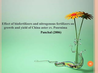 Effect of biofertilizers and nitrogenous fertilizers on
growth and yield of China aster cv. Poornima
Panchal (2006)
45
 
