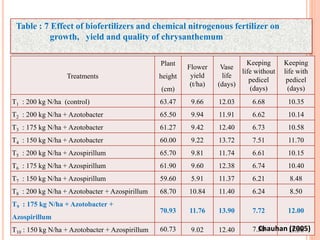 50
Treatments
Plant
height
(cm)
Flower
yield
(t/ha)
Vase
life
(days)
Keeping
life without
pedicel
(days)
Keeping
life with
pedicel
(days)
T1 : 200 kg N/ha (control) 63.47 9.66 12.03 6.68 10.35
T2 : 200 kg N/ha + Azotobacter 65.50 9.94 11.91 6.62 10.14
T3 : 175 kg N/ha + Azotobacter 61.27 9.42 12.40 6.73 10.58
T4 : 150 kg N/ha + Azotobacter 60.00 9.22 13.72 7.51 11.70
T5 : 200 kg N/ha + Azospirillum 65.70 9.81 11.74 6.61 10.15
T6 : 175 kg N/ha + Azospirillum 61.90 9.60 12.38 6.74 10.40
T7 : 150 kg N/ha + Azospirillum 59.60 5.91 11.37 6.21 8.48
T8 : 200 kg N/ha + Azotobacter + Azospirillum 68.70 10.84 11.40 6.24 8.50
T9 : 175 kg N/ha + Azotobacter +
Azospirillum
70.93 11.76 13.90 7.72 12.00
T10 : 150 kg N/ha + Azotobacter + Azospirillum 60.73 9.02 12.40 7.30 11.58
Table : 7 Effect of biofertilizers and chemical nitrogenous fertilizer on
growth, yield and quality of chrysanthemum
Chauhan (2005)
 