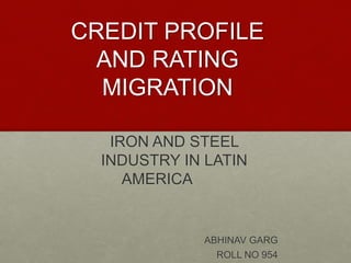 CREDIT PROFILE 
AND RATING 
MIGRATION 
IRON AND STEEL 
INDUSTRY IN LATIN 
AMERICA 
ABHINAV GARG 
ROLL NO 954 
 