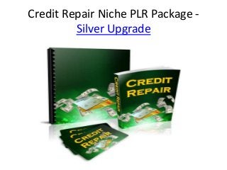 Credit Repair Niche PLR Package -
         Silver Upgrade
 