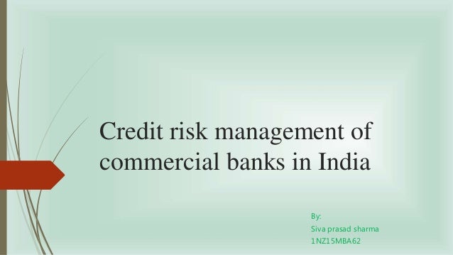 Credit risk management in banks dissertation