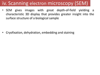 iv. Scanning electron microscopy (SEM) 
• SEM gives images with great depth-of-field yielding a 
characteristic 3D display that provides greater insight into the 
surface structure of a biological sample 
• Cryofixation, dehydration, embedding and staining 
 