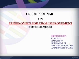 CREDIT SEMINAR
ON
EPIGENOMICS FOR CROP IMPROVEMENT
COURSE NO: MBB-691
PRESENTED BY
C. ANJALI
RAD/2018-37
DEPARMENT OF
MOLECULAR BIOLOGY
AND BIOTECHNOLOGY
 