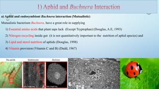 microbe insect plant interactions | PPTX