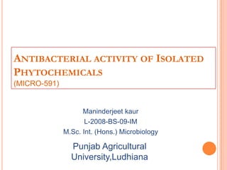 ANTIBACTERIAL ACTIVITY OF ISOLATED
PHYTOCHEMICALS
(MICRO-591)
Maninderjeet kaur
L-2008-BS-09-IM
M.Sc. Int. (Hons.) Microbiology
Punjab Agricultural
University,Ludhiana
 