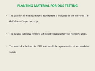 PLANTING MATERIAL FOR DUS TESTING
• The quantity of planting material requirement is indicated in the individual Test
Guidelines of respective crops.
• The material submitted for DUS test should be representative of respective crops.
• The material submitted for DUS test should be representative of the candidate
variety.
 