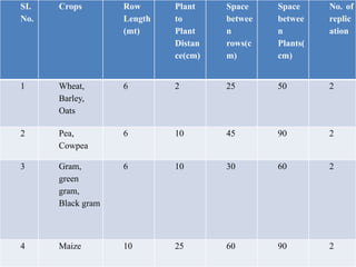 SI.
No.
Crops Row
Length
(mt)
Plant
to
Plant
Distan
ce(cm)
Space
betwee
n
rows(c
m)
Space
betwee
n
Plants(
cm)
No. of
replic
ation
1 Wheat,
Barley,
Oats
6 2 25 50 2
2 Pea,
Cowpea
6 10 45 90 2
3 Gram,
green
gram,
Black gram
6 10 30 60 2
4 Maize 10 25 60 90 2
 