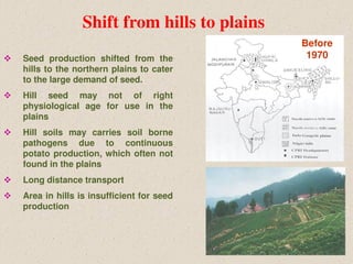 Shift from hills to plains
Before
1970 Seed production shifted from the
hills to the northern plains to cater
to the large demand of seed.
 Hill seed may not of right
physiological age for use in the
plains
 Hill soils may carries soil borne
pathogens due to continuous
potato production, which often not
found in the plains
 Long distance transport
 Area in hills is insufficient for seed
production
 