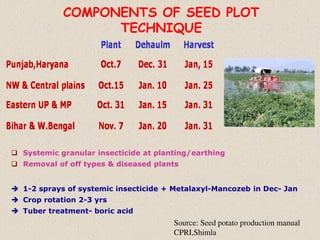 COMPONENTS OF SEED PLOT
TECHNIQUE
 Systemic granular insecticide at planting/earthing
 Removal of off types & diseased plants
 1-2 sprays of systemic insecticide + Metalaxyl-Mancozeb in Dec- Jan
 Crop rotation 2-3 yrs
 Tuber treatment- boric acid
Source: Seed potato production manual
CPRI,Shimla
 