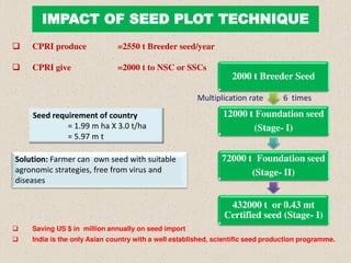 IMPACT OF SEED PLOT TECHNIQUE
 CPRI produce =2550 t Breeder seed/year
 CPRI give =2000 t to NSC or SSCs
 Saving US $ in million annually on seed import
 India is the only Asian country with a well established, scientific seed production programme.
2000 t Breeder Seed
12000 t Foundation seed
(Stage- I)
72000 t Foundation seed
(Stage- II)
432000 t or 0.43 mt
Certified seed (Stage- I)
Seed requirement of country
= 1.99 m ha X 3.0 t/ha
= 5.97 m t
Solution: Farmer can own seed with suitable
agronomic strategies, free from virus and
diseases
Multiplication rate 6 times
 
