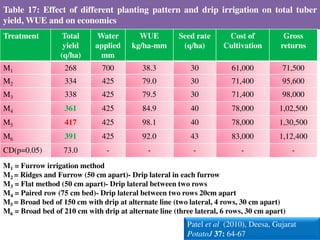 Table 17: Effect of different planting pattern and drip irrigation on total tuber
yield, WUE and on economics
Treatment Total
yield
(q/ha)
Water
applied
mm
WUE
kg/ha-mm
Seed rate
(q/ha)
Cost of
Cultivation
Gross
returns
M1 268 700 38.3 30 61,000 71,500
M2 334 425 79.0 30 71,400 95,600
M3 338 425 79.5 30 71,400 98,000
M4 361 425 84.9 40 78,000 1,02,500
M5 417 425 98.1 40 78,000 1,30,500
M6 391 425 92.0 43 83,000 1,12,400
CD(p=0.05) 73.0 - - - - -
Patel et al (2010), Deesa, Gujarat
PotatoJ 37: 64-67
M1 = Furrow irrigation method
M2 = Ridges and Furrow (50 cm apart)- Drip lateral in each furrow
M3 = Flat method (50 cm apart)- Drip lateral between two rows
M4 = Paired row (75 cm bed)- Drip lateral between two rows 20cm apart
M5 = Broad bed of 150 cm with drip at alternate line (two lateral, 4 rows, 30 cm apart)
M6 = Broad bed of 210 cm with drip at alternate line (three lateral, 6 rows, 30 cm apart)
 