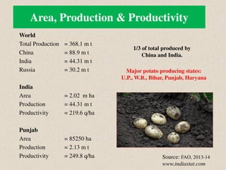 Area, Production & Productivity
World
Total Production = 368.1 m t
China = 88.9 m t
India = 44.31 m t
Russia = 30.2 m t
India
Area = 2.02 m ha
Production = 44.31 m t
Productivity = 219.6 q/ha
Punjab
Area = 85250 ha
Production = 2.13 m t
Productivity = 249.8 q/ha Source: FAO, 2013-14
www.indiastat.com
1/3 of total produced by
China and India.
Major potato producing states:
U.P., W.B., Bihar, Punjab, Haryana
 