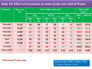Table 18: Effect of tricontanol on tuber grade and yield of Potato
Treatment Dose g.a.i.
ha-1
Size of tubers (per cent) Tuber yield
(q ha-1)
>75g 50-75g <50g 2002-
03
2003-04
2002-
03
2003-
04
2002-
03
2003-
04
2002-
03
2003-
04
Miraculan*
0.125 44 58 37 28 19 14 311.3 327.8
Miraculan 0.250 64 72 21 16 15 12 329.4 341.6
Miraculan 0.500 65 76 19 12 16 12 330.5 343.2
Miraculan 1.000 63 72 22 18 16 10 324.1 340.1
Vipul*
0.250 58 72 28 26 14 12 318.5 334.8
Vipul 0.500 65 68 15 23 20 9 326.3 342.1
Untreated - 37 42 46 34 17 24 296.8 303.6
LSD (p =0.05) - 2.81 3.56 3.17 4.32 2.56 4.12 5.14 4.40
Samui & Roy (2007), Nadia, W.B.
J Crop & Weed 3: 35-36
•Tricontanol Trade name
 