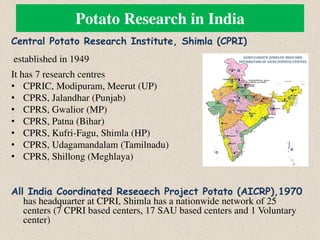 Potato Research in India
Central Potato Research Institute, Shimla (CPRI)
established in 1949
It has 7 research centres
• CPRIC, Modipuram, Meerut (UP)
• CPRS, Jalandhar (Punjab)
• CPRS, Gwalior (MP)
• CPRS, Patna (Bihar)
• CPRS, Kufri-Fagu, Shimla (HP)
• CPRS, Udagamandalam (Tamilnadu)
• CPRS, Shillong (Meghlaya)
All India Coordinated Reseaech Project Potato (AICRP),1970
has headquarter at CPRI, Shimla has a nationwide network of 25
centers (7 CPRI based centers, 17 SAU based centers and 1 Voluntary
center)
 