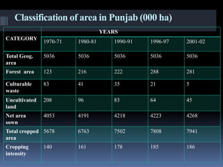Classification of area in Punjab (000 ha)
CATEGORY
YEARS
1970-71 1980-81 1990-91 1996-97 2001-02
Total Geog.
area
5036 5036 5036 5036 5036
Forest area 123 216 222 288 281
Culturable
waste
83 41 35 21 5
Uncultivated
land
208 96 83 64 45
Net area
sown
4053 4191 4218 4223 4268
Total cropped
area
5678 6763 7502 7808 7941
Cropping
intensity
140 161 178 185 186
 
