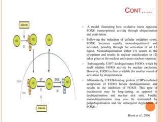 Ubiquitin & Proteasome: Role in Transcription Regulation | PPTX