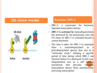 Ubiquitin & Proteasome: Role in Transcription Regulation | PPTX