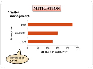 1.Water
management.
Hayano et al.
(2013)
0 50 100 150 200 250
rapid
moderate
poor
CH4 Flux (10-6 Gg C ha-1 yr-1)
Drainagerate
MITIGATION
 