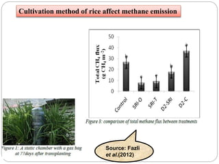 Cultivation method of rice affect methane emission
Source: Fazli
et al.(2012)
 