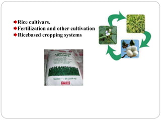 Rice cultivars.
Fertilization and other cultivation
Ricebased cropping systems
 