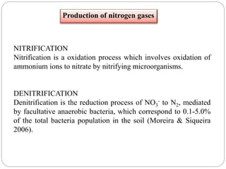 NITRIFICATION
Nitrification is a oxidation process which involves oxidation of
ammonium ions to nitrate by nitrifying microorganisms.
DENITRIFICATION
Denitrification is the reduction process of NO3
- to N2, mediated
by facultative anaerobic bacteria, which correspond to 0.1-5.0%
of the total bacteria population in the soil (Moreira & Siqueira
2006).
Production of nitrogen gases
 