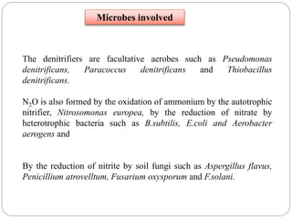 The denitrifiers are facultative aerobes such as Pseudomonas
denitrificans, Paracoccus denitrificans and Thiobacillus
denitrificans.
N2O is also formed by the oxidation of ammonium by the autotrophic
nitrifier, Nitrosomonas europea, by the reduction of nitrate by
heterotrophic bacteria such as B.subtilis, E.coli and Aerobacter
aerogens and
By the reduction of nitrite by soil fungi such as Aspergillus flavus,
Penicillium atrovelltum, Fusarium oxysporum and F.solani.
Microbes involved
 