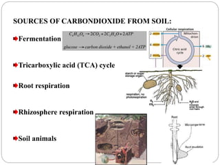 SOURCES OF CARBONDIOXIDE FROM SOIL:
Fermentation
Tricarboxylic acid (TCA) cycle
Root respiration
Rhizosphere respiration
Soil animals
 