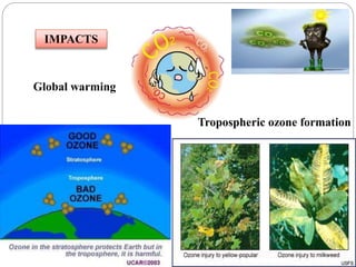 IMPACTS
Tropospheric ozone formation
Global warming
 