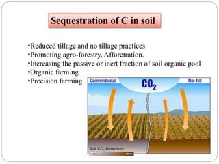 Sequestration of C in soil
•Reduced tillage and no tillage practices
•Promoting agro-forestry, Afforetration.
•Increasing the passive or inert fraction of soil organic pool
•Organic farming
•Precision farming
 