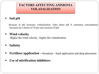  Soil pH
Increase in pH increases volatalization. Upto about pH 9, ammonia concentration
increases by a factor of 10 per unit increase of pH.
 Wind velocity
Higher the wind velocity , higher the volatalization
 Salinity
 Fertilizer application – broadcast – band application and deep placement
 Use of nitrification inhibitors
FACTORS AFFECTING AMMONIA
VOLATALIZATION
 