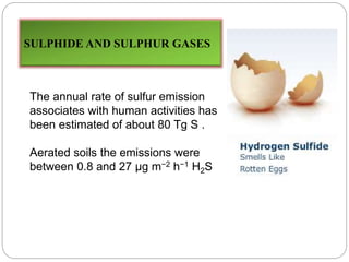 SULPHIDE AND SULPHUR GASES
The annual rate of sulfur emission
associates with human activities has
been estimated of about 80 Tg S .
Aerated soils the emissions were
between 0.8 and 27 μg m−2 h−1 H2S
 