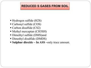 REDUCED S GASES FROM SOIL
 Hydrogen sulfide (H2S)
 Carbonyl sulfide (COS)
 Carbon disulfide (CS2)
 Methyl mercaptan (CH3SH)
 Dimethyl sulfide (DMS)and
 Dimethyl disulfide (DMDS)
 Sulphur dioxide – In ASS –only trace amount.
 