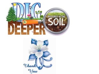 Gaseous emission from agricultural fields