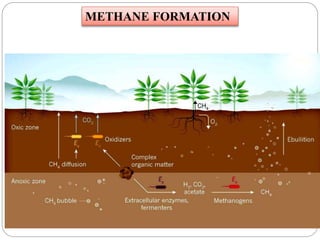 METHANE FORMATION
 