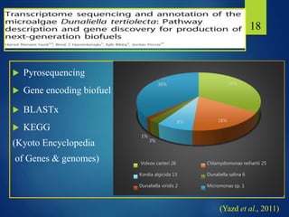  Pyrosequencing
 Gene encoding biofuel
 BLASTx
 KEGG
(Kyoto Encyclopedia
of Genes & genomes)
18
(Yazd et al., 2011)
34%
18%8%
3%
1%
36%
Volvox carteri 26 Chlamydomonas reihartii 25
Kordia algicida 13 Dunaliella salina 6
Dunaliella viridis 2 Micromonas sp. 1
 