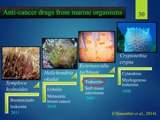 30Anti-cancer drugs from marine organisms
Brentuximab-
leukemia
Eribulin
Metastatic
breast cancer
Trabectin-
Soft tissue
carcinoma
Cytarabine
Myelogenous
leukemia
(Chinembiri et al., 2014)
Cryptotethia
crypta
Ecteinascidia
turbinateHalichondria
okadai
Symploca
hydnoides 1998
2007
2010
2011
 