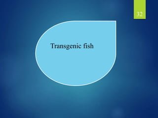 32
Transgenic fish
 