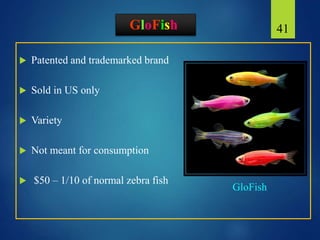 GloFish
 Patented and trademarked brand
 Sold in US only
 Variety
 Not meant for consumption
 $50 – 1/10 of normal zebra fish
41
GloFish
 