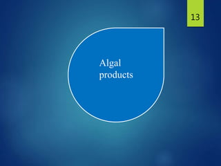 13
Algal
products
 
