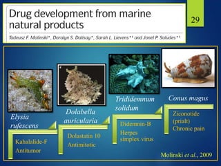 29
Kahalalide-F
Antitumor
Dolastatin 10
Antimitotic
Didemnin-B
Herpes
simplex virus
Conus magus
Ziconotide
(prialt)
Chronic pain
Trididemnum
solidum
Dolabella
auricularia
Elysia
rufescens
Molinski et al., 2009
 