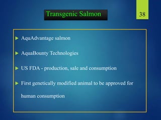  AquAdvantage salmon
 AquaBounty Technologies
 US FDA - production, sale and consumption
 First genetically modified animal to be approved for
human consumption
38Transgenic Salmon
 
