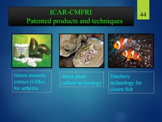 ICAR-CMFRI
Patented products and techniques
44
Shore pearl
culture technology
Green mussels
extract (GMe)
for arthritis
Hatchery
technology for
clown fish
 
