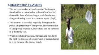 Insect Sampling Methods methods of insect sampling in forest | PPTX