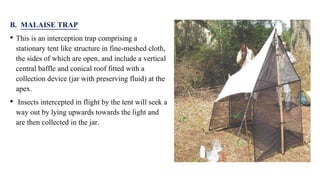 Insect Sampling Methods methods of insect sampling in forest | PPTX