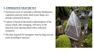 Insect Sampling Methods methods of insect sampling in forest | PPTX