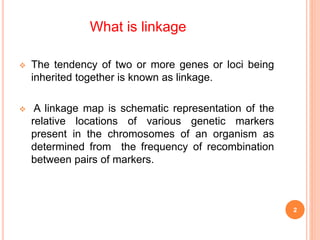 genome wide linkage mapping | PPT