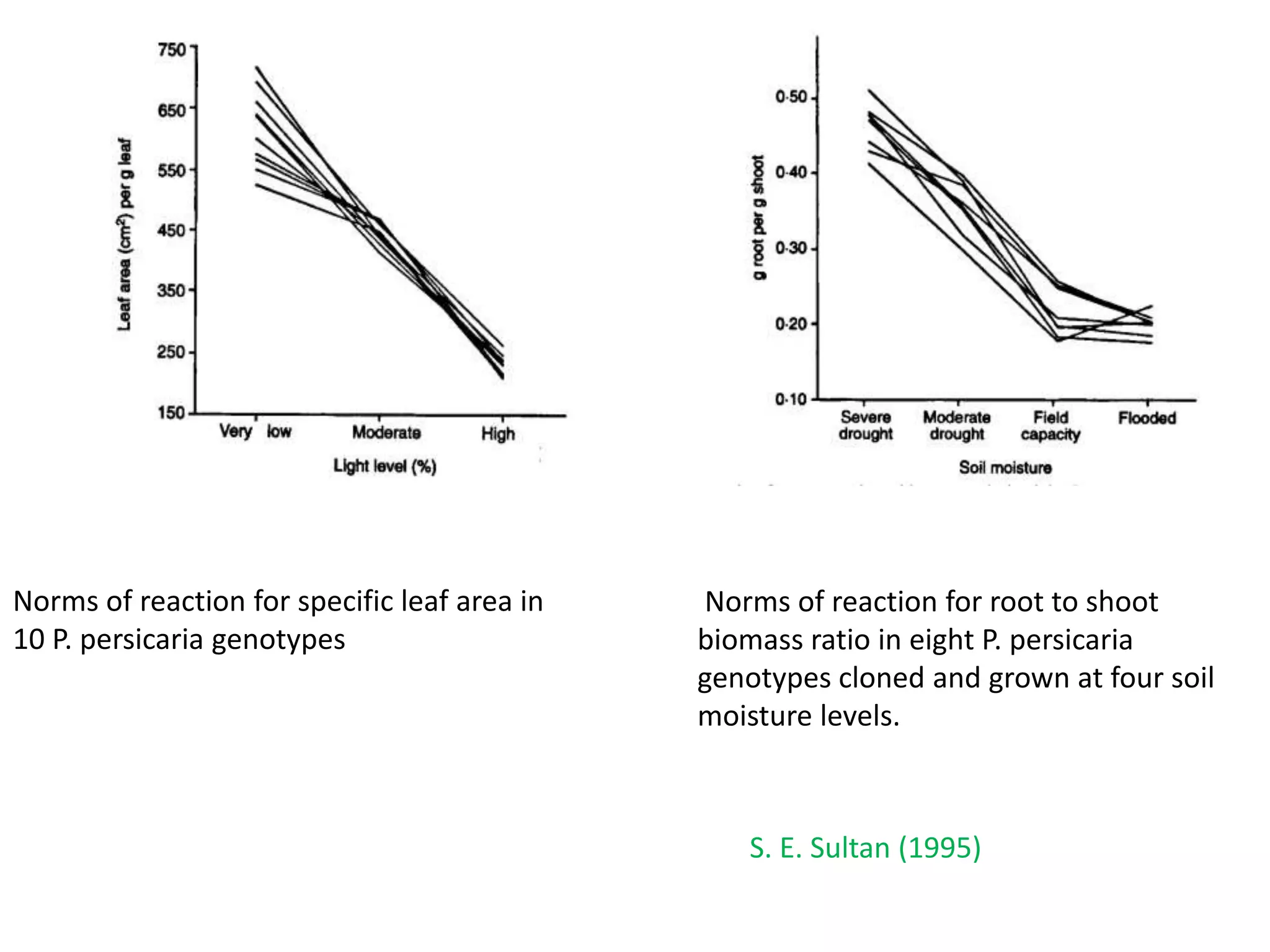 PHENOTYPIC PLASTICITY IN CROP PLANTS | PPTX
